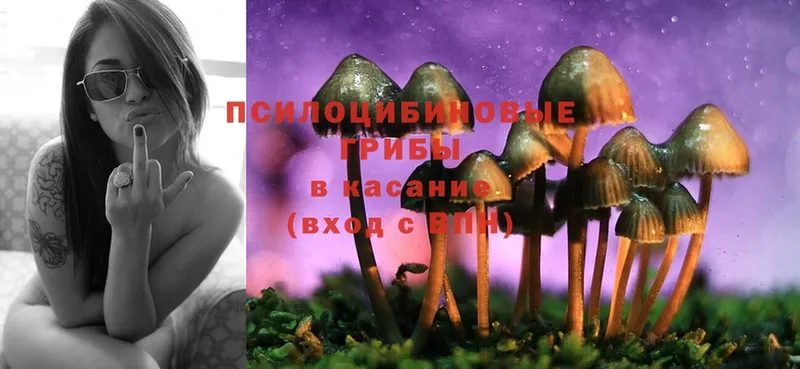 Галлюциногенные грибы Cubensis  Копейск 